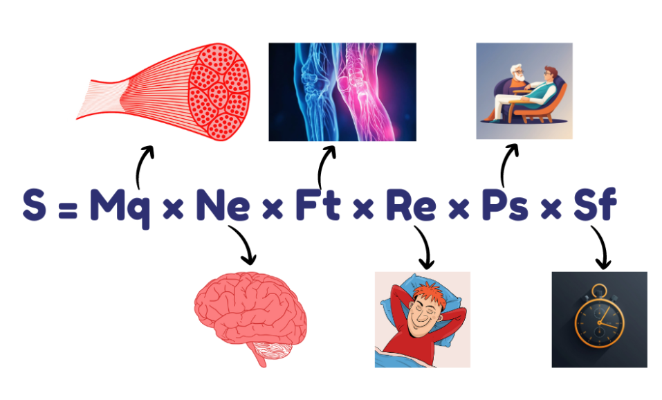 The gainz equation: contains the formula and icons representing the variables, muscle, brain, tendon, sleep, pschology and stop watch